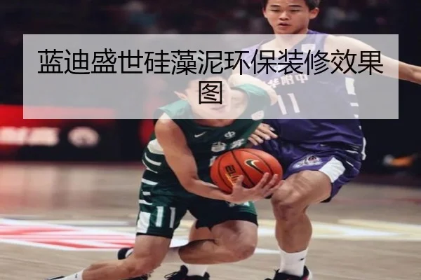 蓝迪盛世硅藻泥环保装修效果图