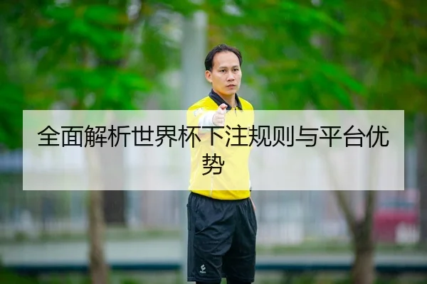 全面解析世界杯下注规则与平台优势