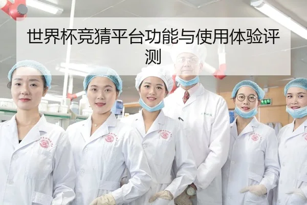 世界杯竞猜平台功能与使用体验评测