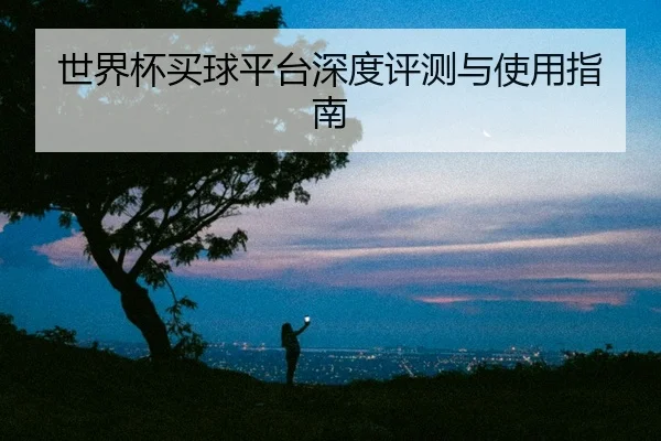 世界杯买球平台深度评测与使用指南