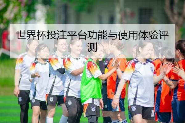 世界杯投注平台功能与使用体验评测