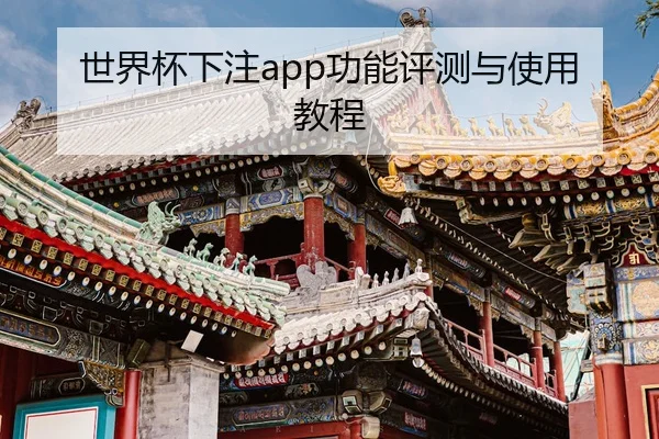世界杯下注app功能评测与使用教程