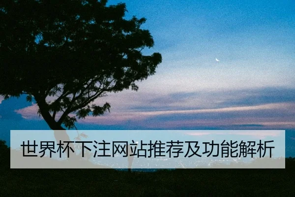 世界杯下注网站推荐及功能解析