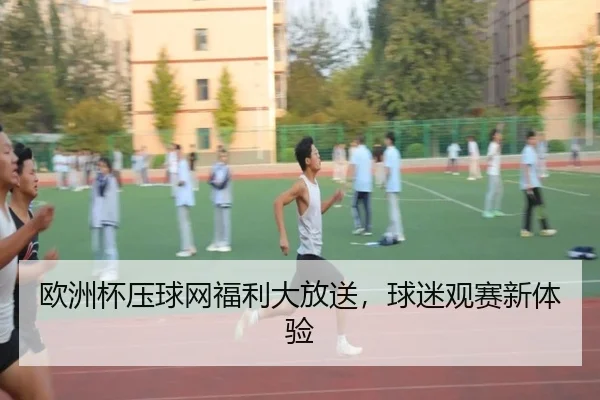 欧洲杯压球网福利大放送，球迷观赛新体验